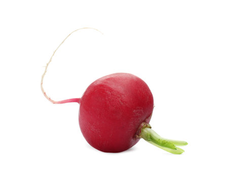 One fresh ripe radish isolated on whiteの写真素材
