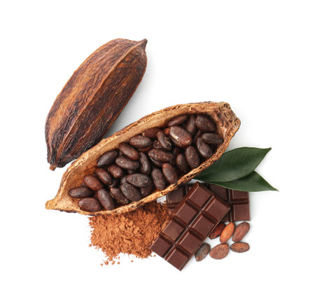 Cocoa pods with beans, powder, chocolate and leaves isolated on white, top viewの写真素材