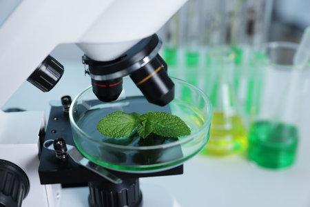 Biochemistry. Microscope with plant in Petri dish on white table in laboratory, closeupの写真素材