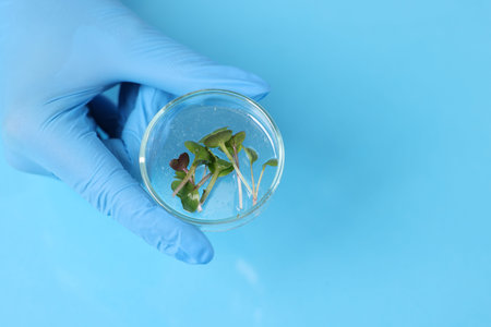 Biochemistry. Scientist working with plants at blue table, top view. Space for text