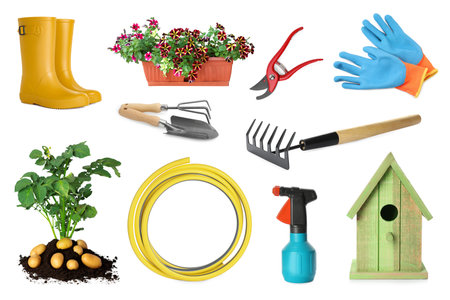 Set of different gardening tools and plants isolated on whiteの写真素材