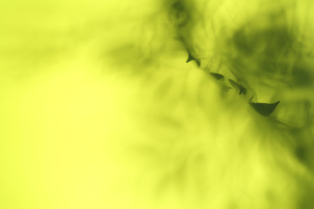 Light and shadows falling on yellow backgroundの写真素材