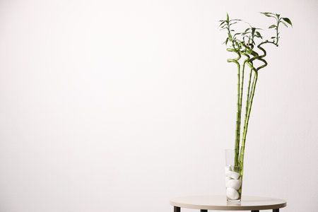 Decorative green bamboo stems in vase on table against white background, space for textの写真素材