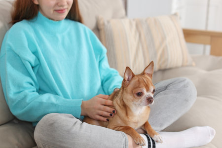 Teenage girl with her cute Chihuahua dog on sofa at home, closeupの写真素材