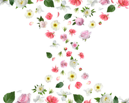 Beautiful flowers and green leaves falling on white backgroundの写真素材
