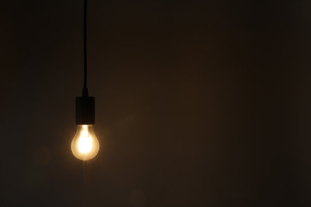 Glowing light bulb hanging on dark background. Space for textの写真素材