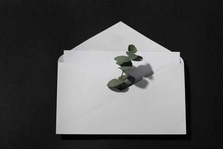 Paper envelope with letter and eucalyptus branch on black background, above view. Mockup for designの写真素材