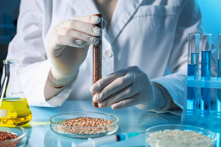 GMO concept. Scientist holding test tube with cereal grains at table in laboratory, closeupの写真素材