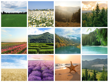 Picturesque nature. Collage with beautiful photos of different landscapesの写真素材