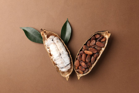 Cocoa pods with beans on brown background, top viewの写真素材