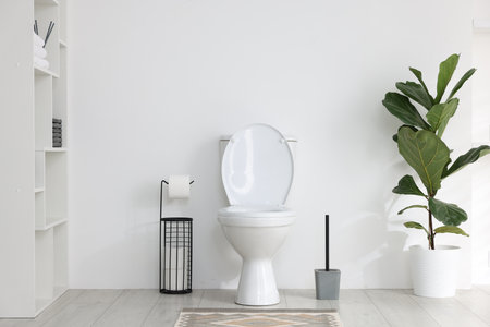 Toilet, brush, necessities and houseplant near white wall in bathroomの写真素材