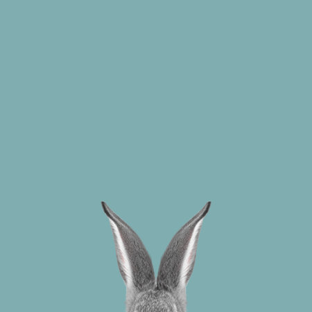 Cute grey rabbit ears on light blue background, space for textの写真素材