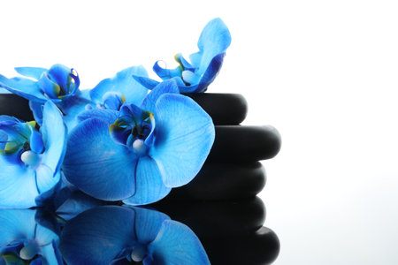 Beautiful blue orchid flowers and spa stones on mirror surface, closeup. Space for textの写真素材
