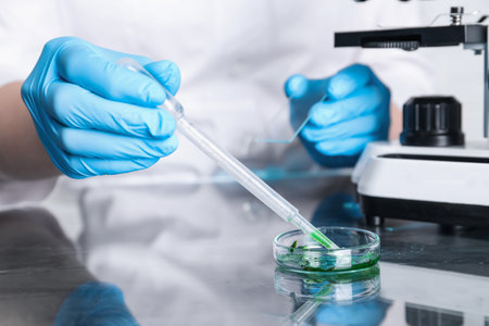 Laboratory testing. Scientist with glass slide dripping sample into petri dish at table indoors,...