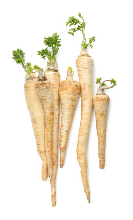 Many fresh parsley roots isolated on white, top viewの写真素材