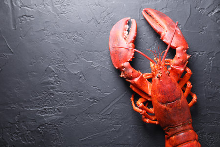 Boiled lobster on black table, top view. Space for textの写真素材