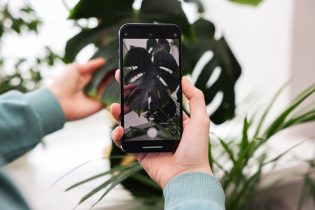 Woman using houseplant recognition application on smartphone indoors, closeupの写真素材