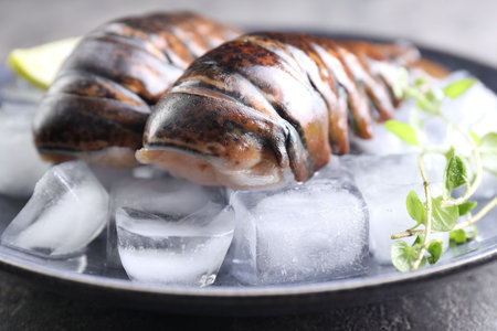 Raw lobster tails with microgreens and ice on table, closeupの写真素材