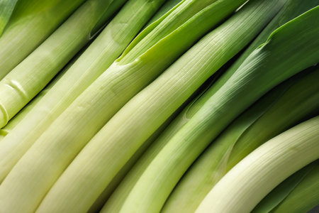 Fresh raw green leeks as background, top viewの写真素材