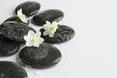 Wet spa stones and beautiful flowers on white background, closeup. Space for textの写真素材