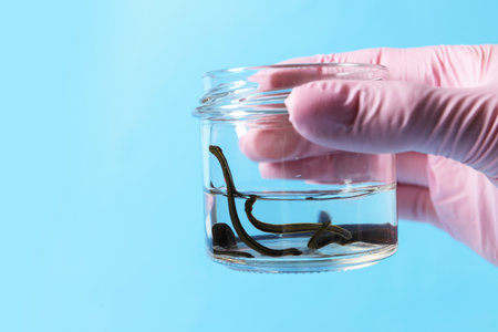 Woman holding glass jar with medicinal leeches on light blue background, closeup. Space for textの写真素材