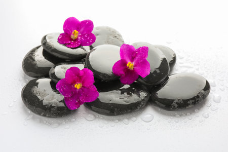 Wet spa stones and beautiful flowers on white background, closeupの写真素材