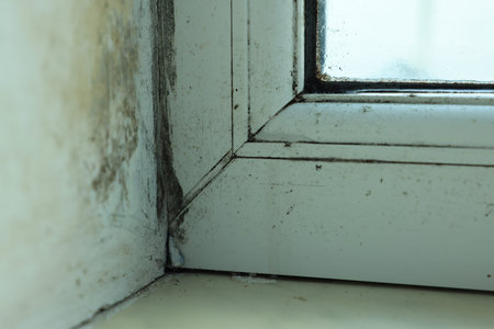 Window affected with black mold indoors, closeup view