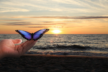 Woman with butterfly on sea beach at sunrise, closeupの写真素材