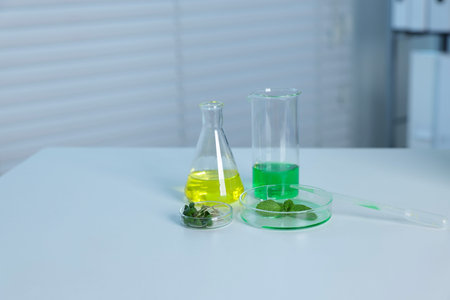 Biochemistry. Glassware with liquids and plants on white table in laboratory, space for text