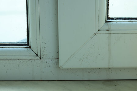 Window affected with black mold indoors, closeup view