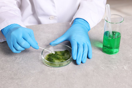 Biochemistry. Scientist working with plants and reagents at grey table, closeupの写真素材