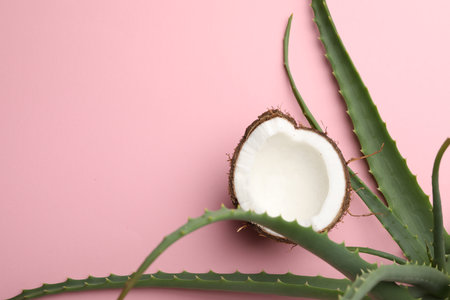 Hair treatment. Fresh coconut and aloe leaves on pink background, flat lay. Space for textの写真素材