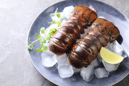 Raw lobster tails with microgreens, lime and ice on grey table, closeupの写真素材