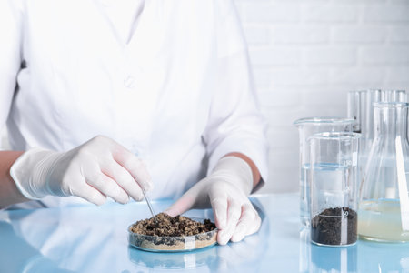 Laboratory testing. Scientist working with sand sample at table indoors, closeupの写真素材