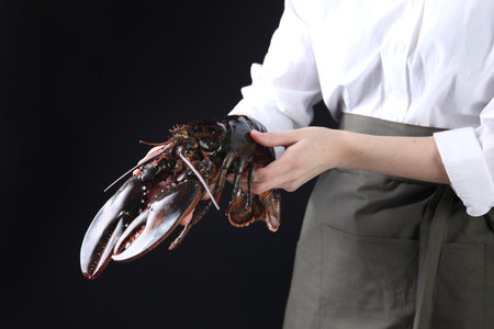 Woman with raw lobster on black background, closeupの写真素材