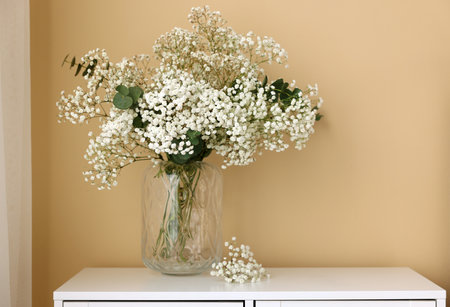 Bouquet of beautiful gypsophila flowers and eucalyptus branches in vase on chest of drawers near beige wallの写真素材