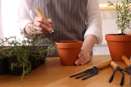 Woman planting herbs at table in kitchen, closeupの写真素材