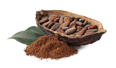 Cocoa pod with beans, powder and leaves isolated on whiteの写真素材