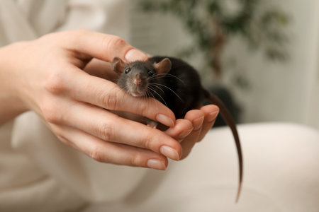 Woman with adorable little rat indoors, closeupの写真素材