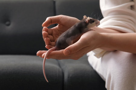 Woman with adorable little rat indoors, closeupの写真素材