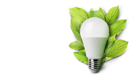 Light bulb with fresh leaves on white background. Concepts of eco-friendly environment and saving energyの写真素材
