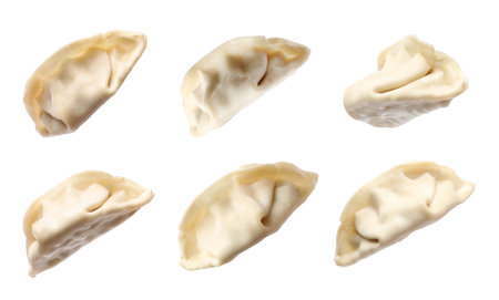 Set of uncooked gyoza on white backgroundの写真素材