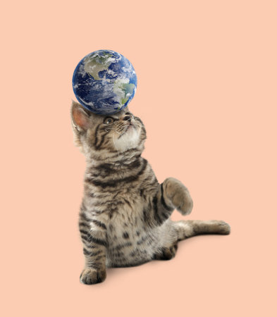 Cute kitten playing with earth globe on peach color backgroundの写真素材