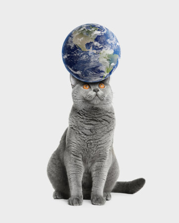 Cute cat and earth globe on light gray backgroundの写真素材
