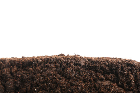Pile of fresh soil isolated on whiteの写真素材