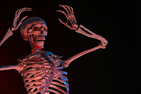 Artificial human skeleton model on dark background in neon lightsの写真素材