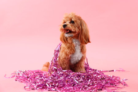 Cute dog with pile of shiny tinsels on pink backgroundの写真素材