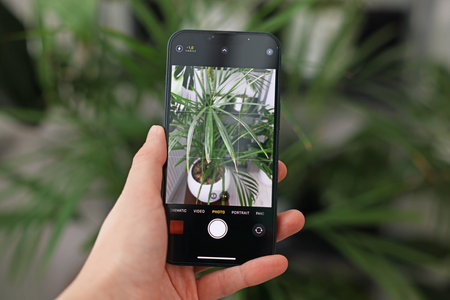 Woman using houseplant recognition application on smartphone indoors, closeupの写真素材