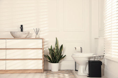 Ceramic toilet bowl, houseplant and necessities in restroomの写真素材