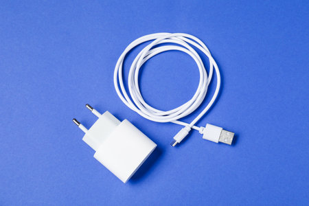 USB power adapter and charge cable on blue background, flat layの写真素材